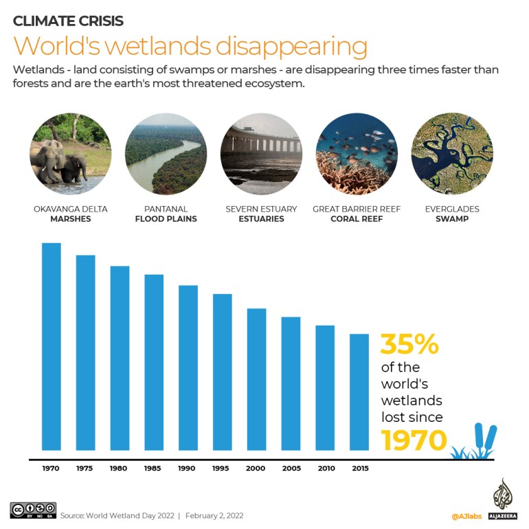 graph showing the decrease in the world's wetlands