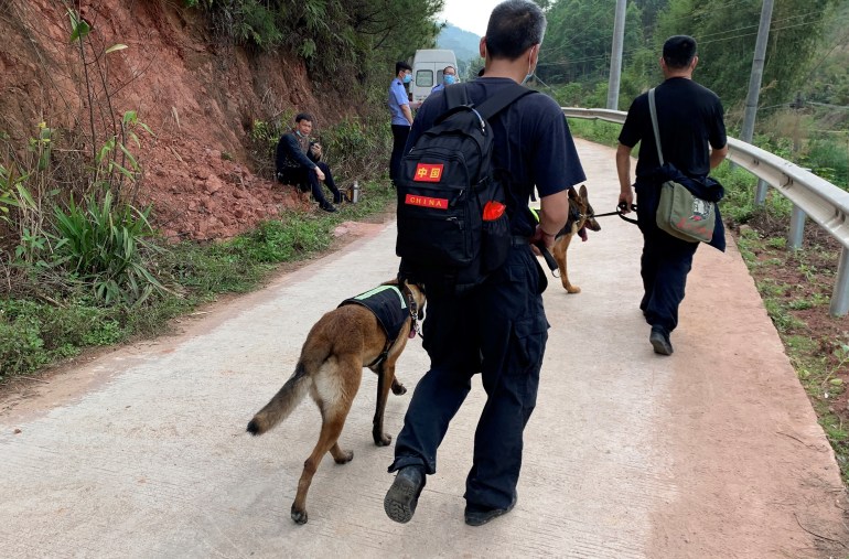 Rescuers with dogs walk along a narrow road towards the crash site of the China Eastern plane