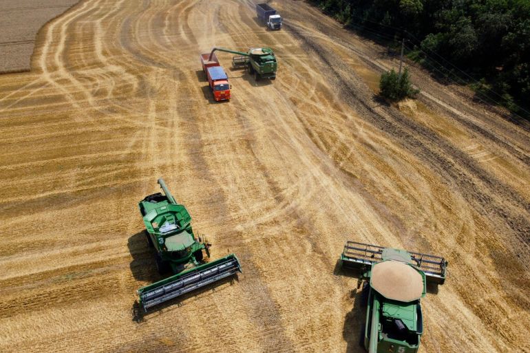 Agricultural vehicles harvesting wheat fields