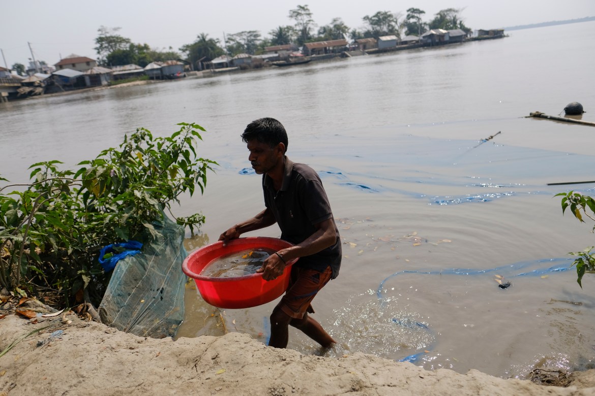 Punur Daan, a fisherman, catches baby shrimp from Pasur River in Mongla