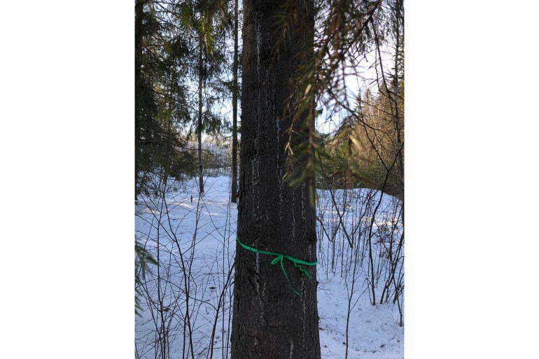 Anna and friends tied green ribbons, one of the anti-war symbols, to trees and plants around a park in Moscow