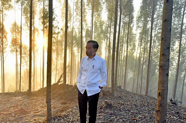 Indonesia's President Joko Widodo looking on at sunrise after spending the night at a campsite in Penajam Paser Utara, East Kalimantan, Indonesia.