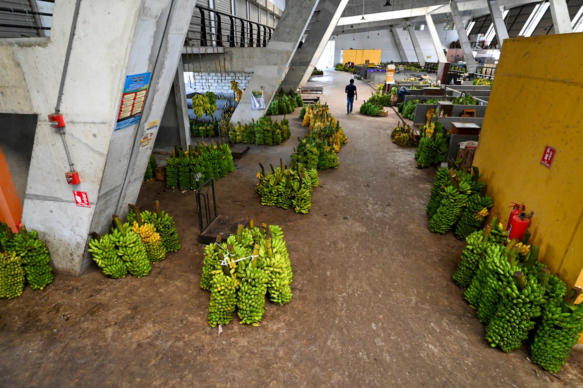 Stalks of bananas are seen at the deserted Manin market