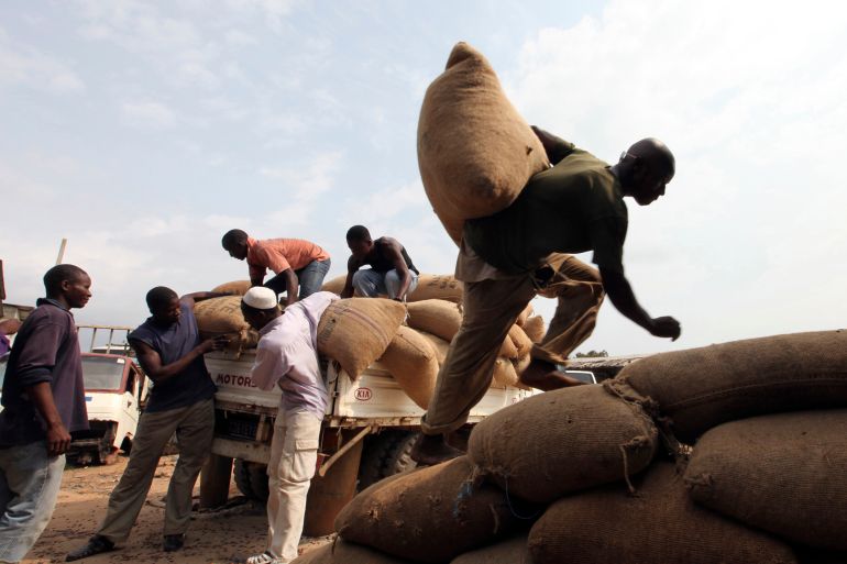 Workers carry bags of cocoa in San Pedro, western Ivory Coast.