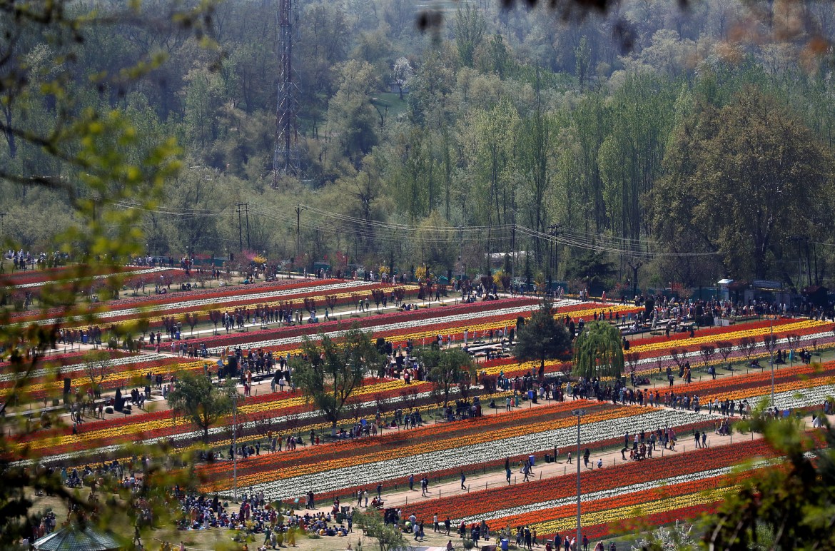 Visitors walk inside Kashmir's tulip garden
