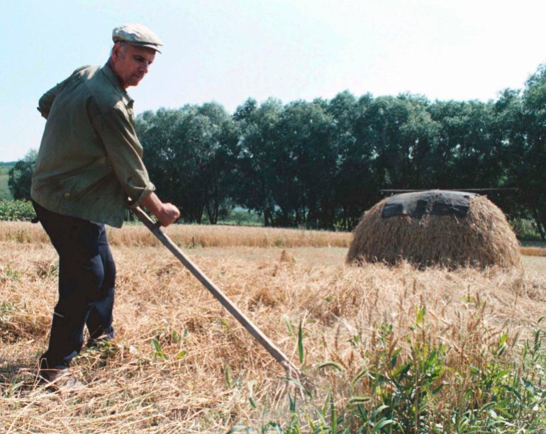 A private Ukrainian farmer Dmytro Hnatkevitch harvests wheat crop on his farm in the village of Grygorovka, Ukraine