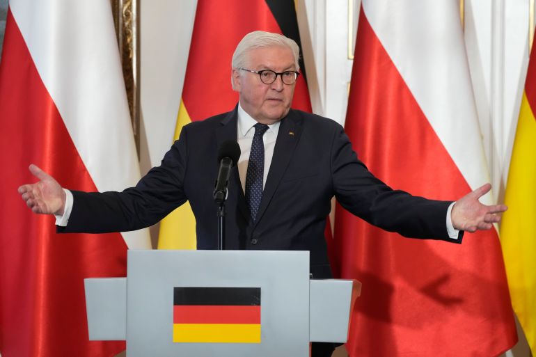 Frank-Walter Steinmeier gestures at a news conference