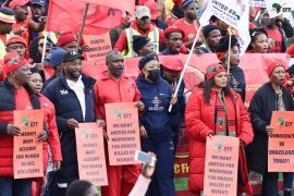 EFF holds solidary rally at Eswatini borders