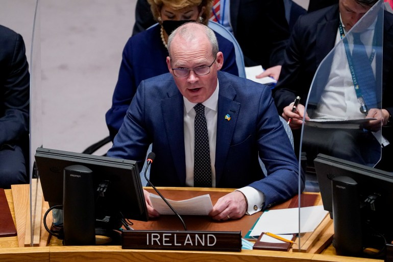 Ireland's Minister for Foreign Affairs, Simon Coveney, speaks during a meeting of the United Nations Security Council.
