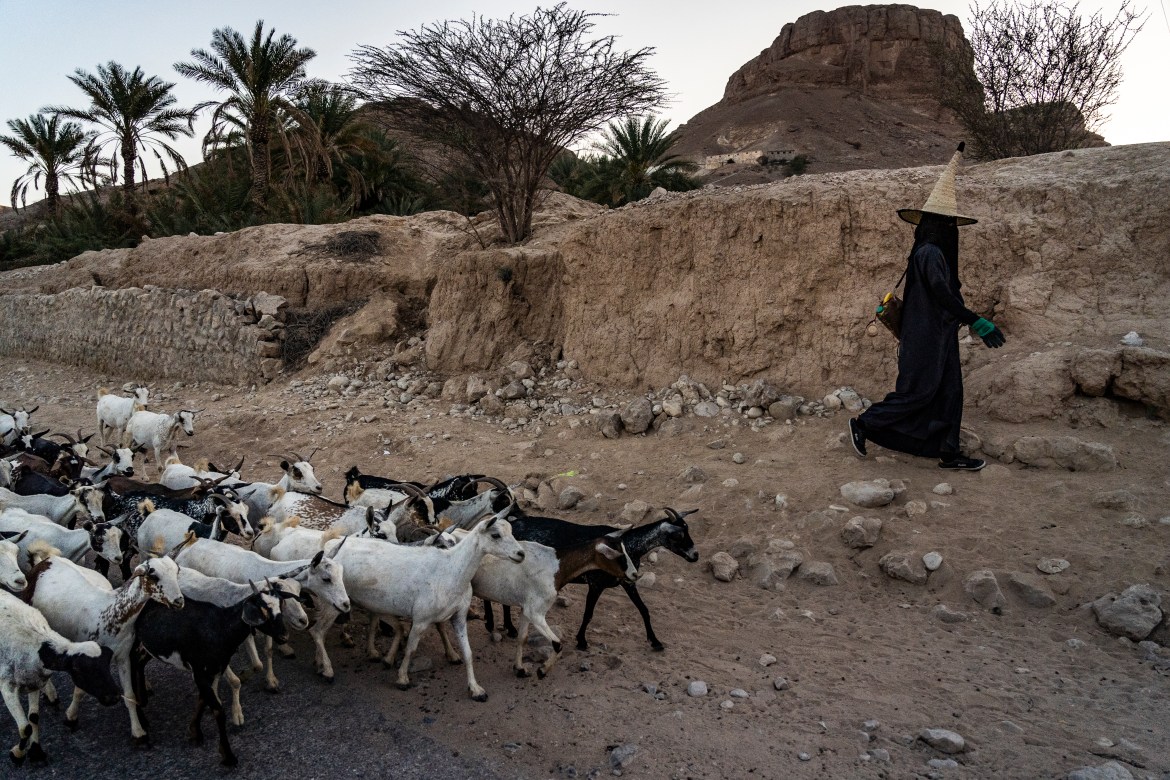 A shepherdess with her goats, Wadi Dawan, Hadhramaut Governorate.