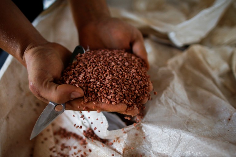 An agricultural worker in Brazil shows fertilizer in his hands