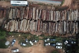 A pile of logs illegally cut from Brazilian Amazon