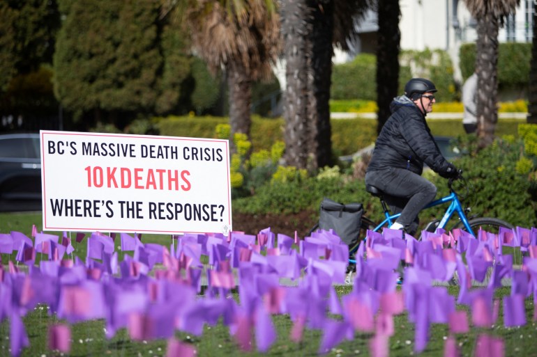 A cyclist rides past hundreds of flags symbolising people who have died from drug overdoses in BC