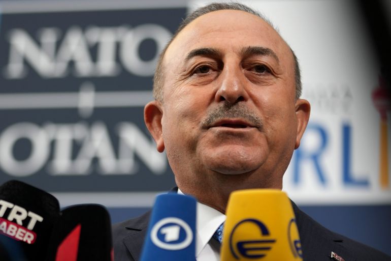 Turkey's Foreign Minister Mevlut Cavusoglu