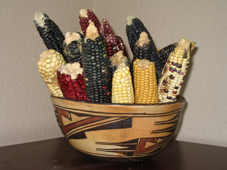 A variety of different coloured corn in a bowl