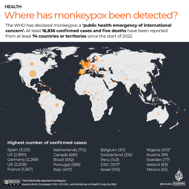 INTERACTIVE- Map where has monkeypox been detected so far July