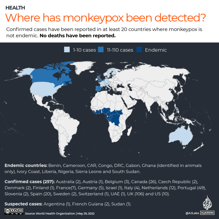 ETKİLEŞİMLİ: 29 Mayıs'ta şimdiye kadar maymunun çiçek hastalığının tespit edildiği harita