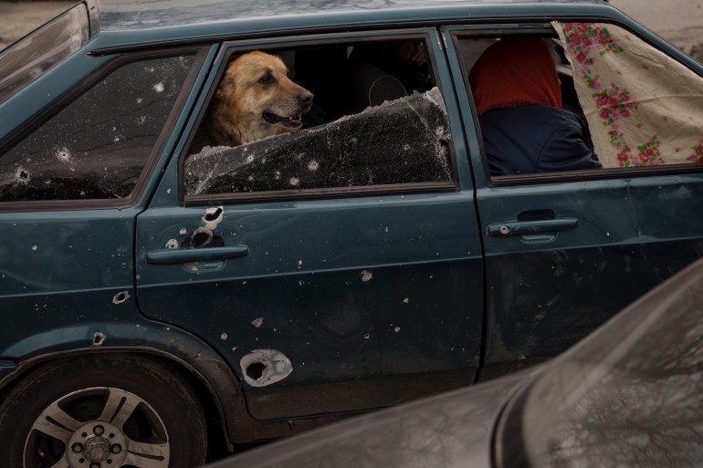 A dog rides in the back of a car as Ukrainians flee the village of Ruska Lozova near Kharkiv last month