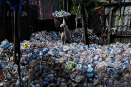 A worker collects plastic bottles to sell at a dump site in Indonesia on May 31, 2022 [File: Chaideer Mahyuddin/AFP]