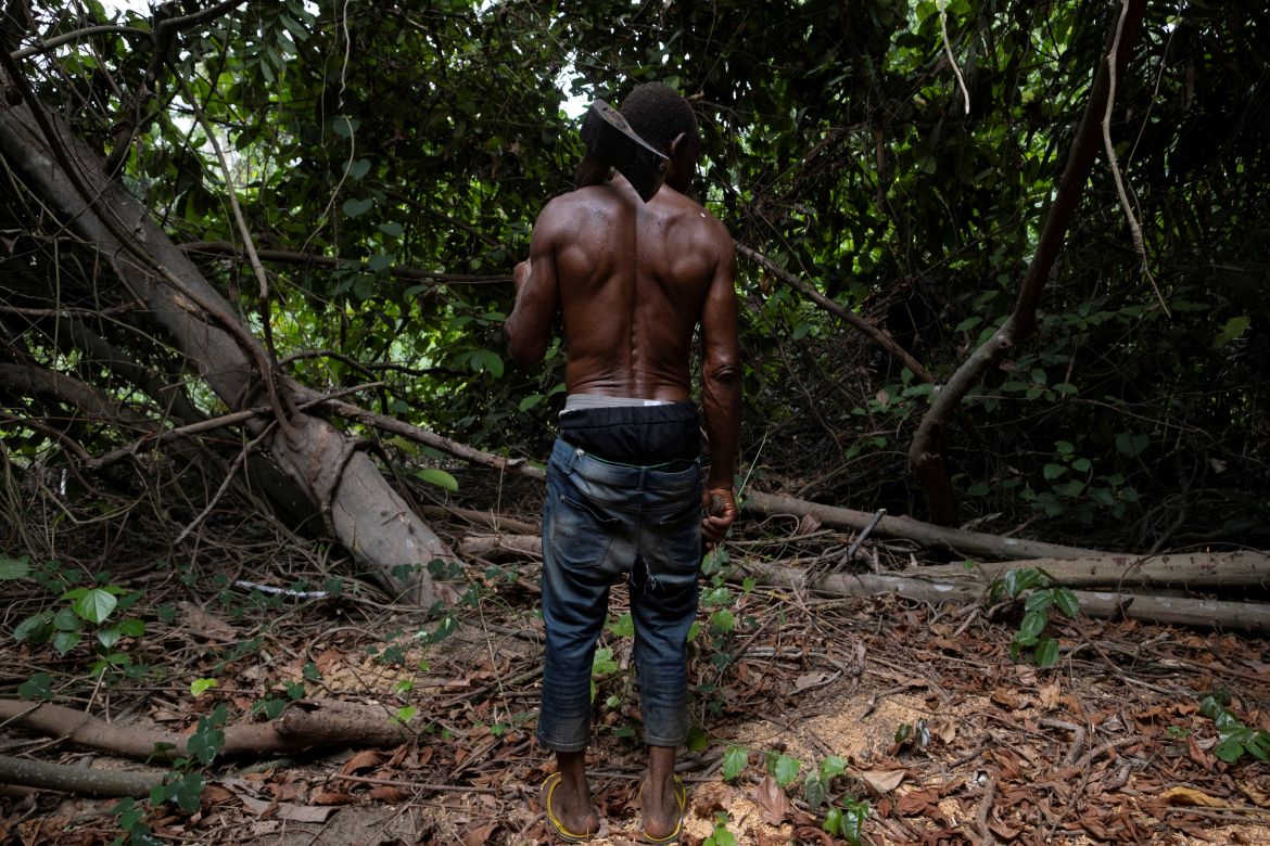 Logger, Egbontoluwa Marigi, 61, poses for a photograph, holding his axe while felling trees, in the forest in Ipare, Ondo State