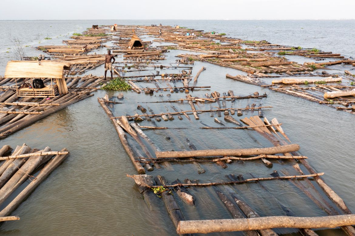 Loggers stand on floating rafts of logs while being transported from Ondo State to Lagos State