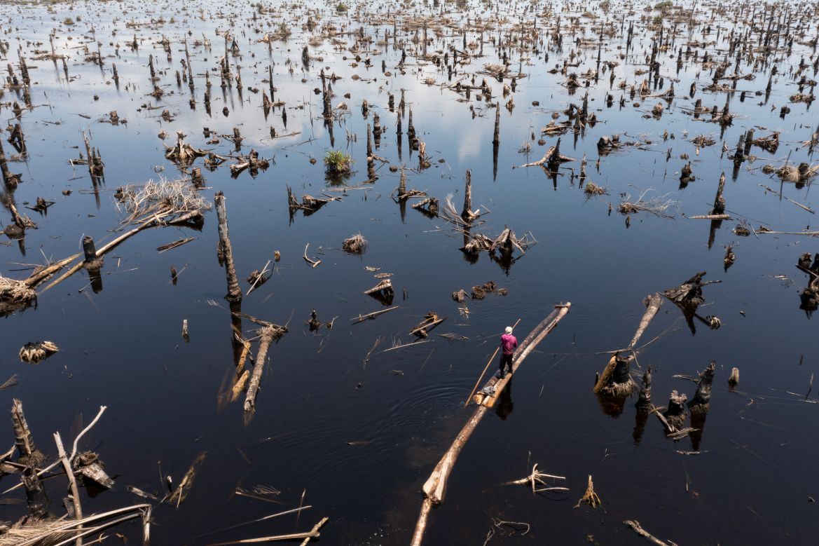 Logger, Egbontoluwa Marigi, 61, paddles his logs out of the flooded forest floor onto the river in Ipare, Ondo State