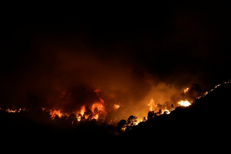 A forest fire is seen on a mountain in Benahavis