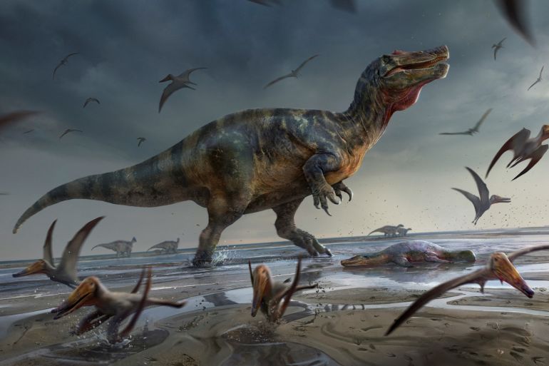 Artist's illustration shows a large meat-eating dinosaur dubbed the "White Rock spinosaurid,"