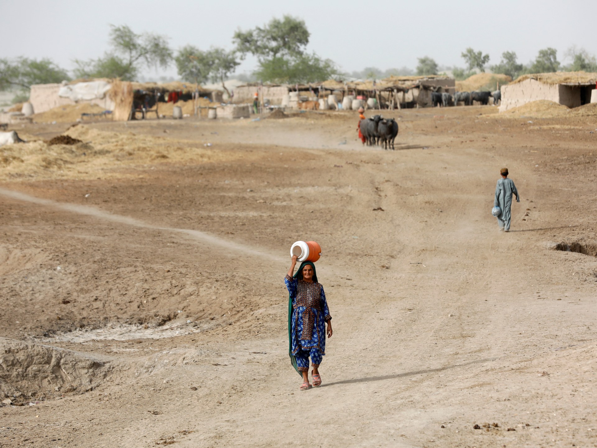 Amnesty menyerukan tindakan global untuk mengurangi gelombang panas di Pakistan |  Berita tentang krisis iklim