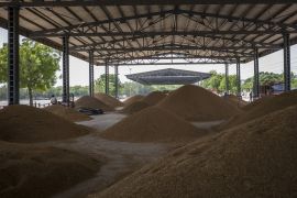 Piles of rice paddy at a wholesale market in the outskirts in New Delhi, India
