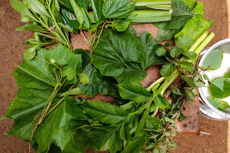A photo of a variety of foraged leaves