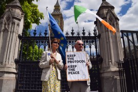 Protesters holding EU and Ireland flags, and a 'Keep the Protocol' placard stand outside Parliament.
