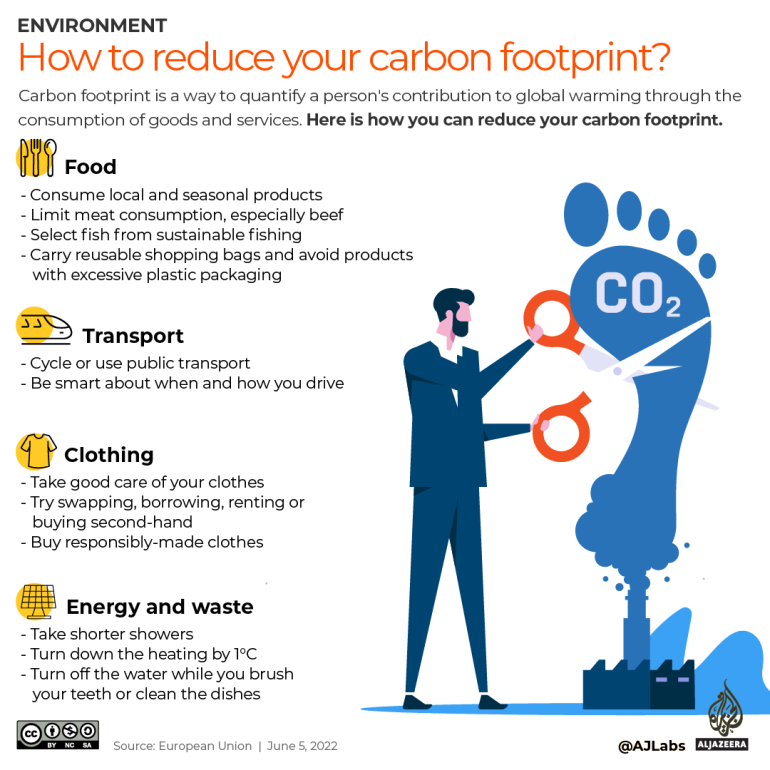 互动 如何减少您的碳足迹