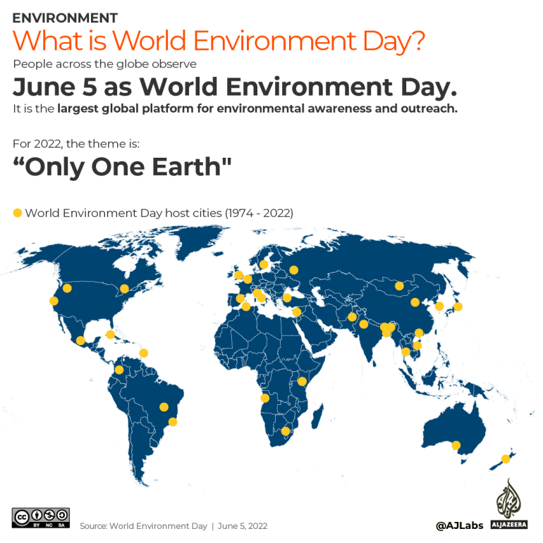INTERACTIVE What is world environment day