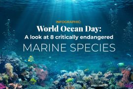 INTERACTIVE_World Oceans Day_Outside image