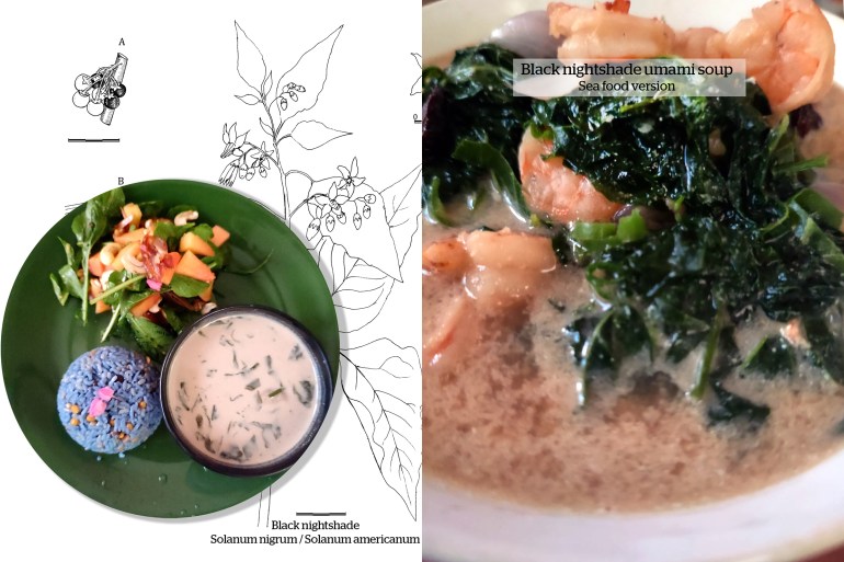 composite image with a page from the colouring book on the left with a bowl of umami nightshade soup on top and a closeup of the nightshade soup on the right