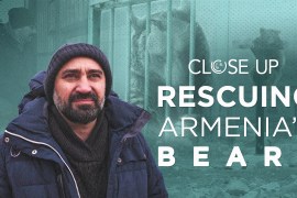 Rescuing-Armenia’s-Bears