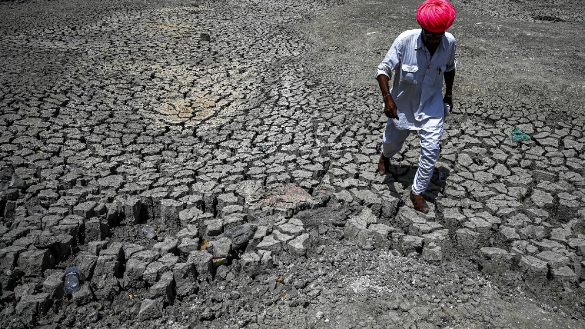 Perekonomian India yang Bermasalah Panas, Tujuan Pembangunan Terancam: Studi |  Berita tentang krisis iklim