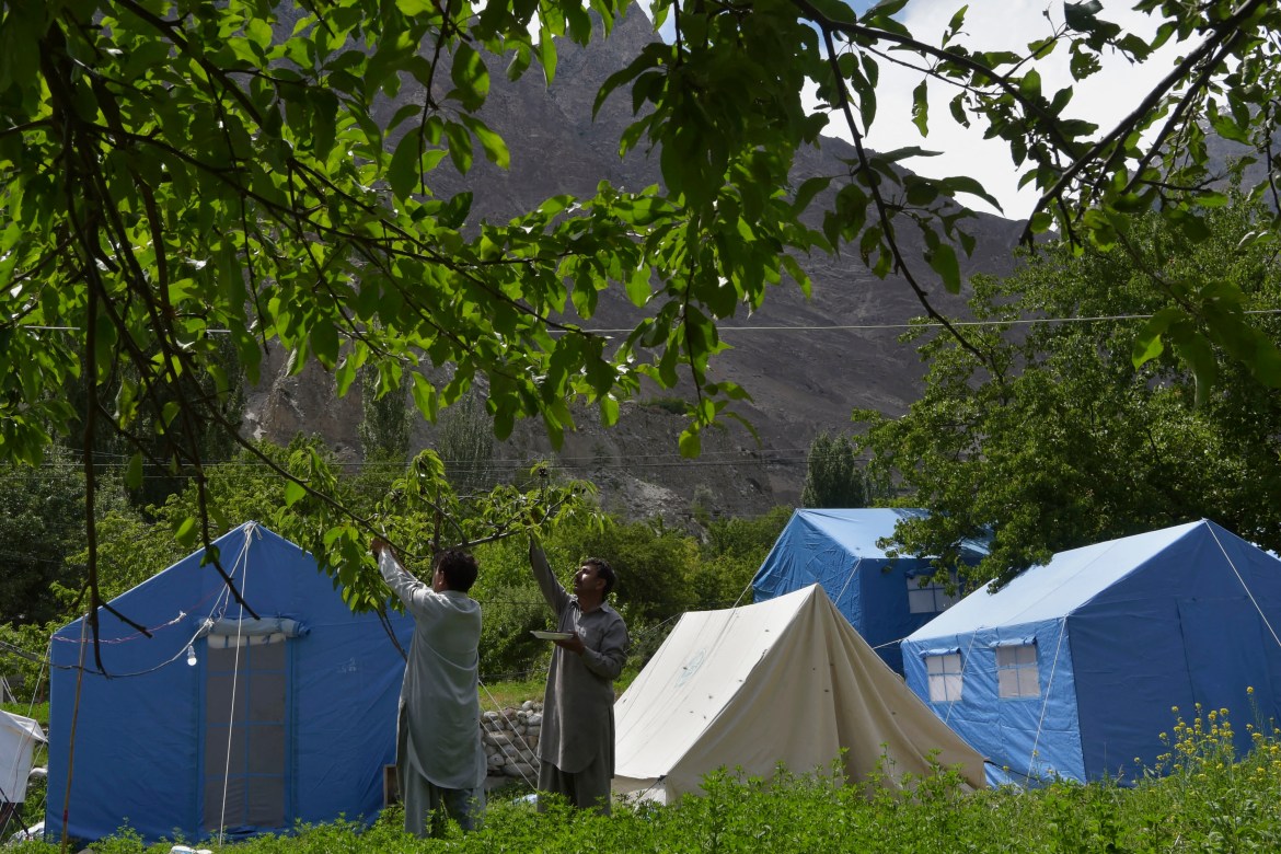 In this picture taken on June 9, 2022, local residents pick cherries from a tree beside tents setup after their homes were swept by a lake outburst because of a melting glacier, in Hassanabad village