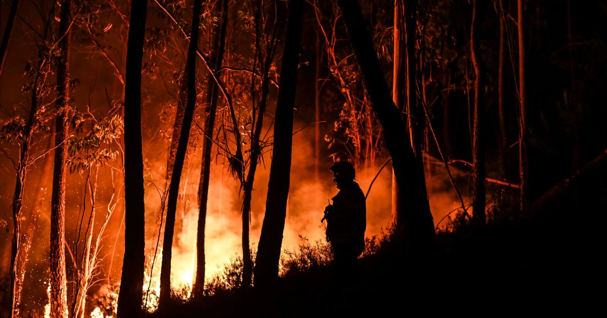 Portugal deploys 3000 firefighters to battle heatwave blazes – Al Jazeera English
