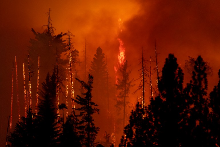 Une forêt est incinérée par le feu de chêne près de Midpines, au nord-est de Mariposa, en Californie, le 23 juillet 2022. – Le feu de forêt en Californie a ravagé des milliers d'acres le 23 juillet après avoir été déclenché un jour plus tôt, alors que des millions d'Américains étouffaient sous une chaleur torride avec températures déjà record en raison de la montée.  (Photo de DAVID MCNEW / AFP)