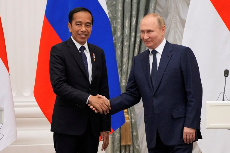 Putin and Jokowi