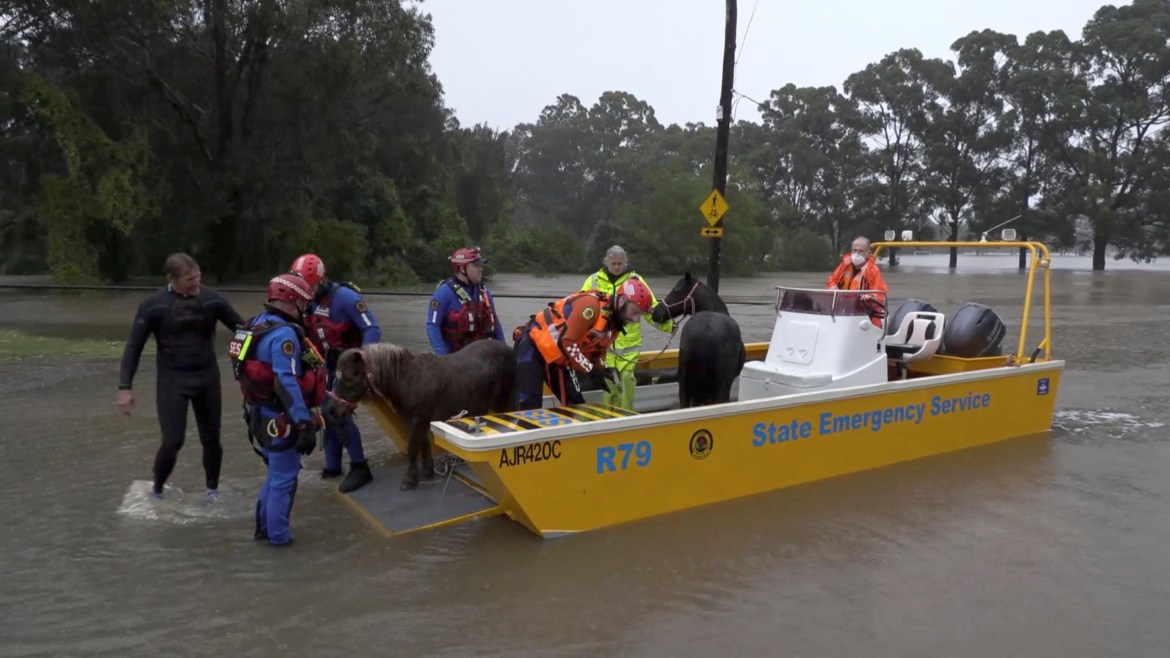 An emergency crew rescues two ponies from a flooded area in Milperra