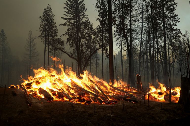 The Oak Fire burns near Darrah in Mariposa County, California, U.S. July 23, 2022. REUTERS/David Swanson