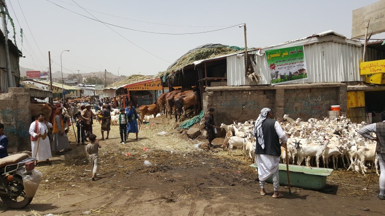 سوق الأغنام نقم في صنعاء ، اليمن