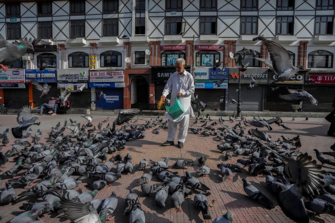 A man feeds pigeons at a market in Srinagar