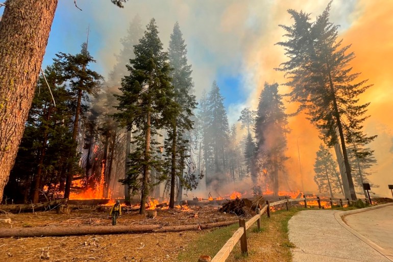 Wildfire in Yosemite national Park