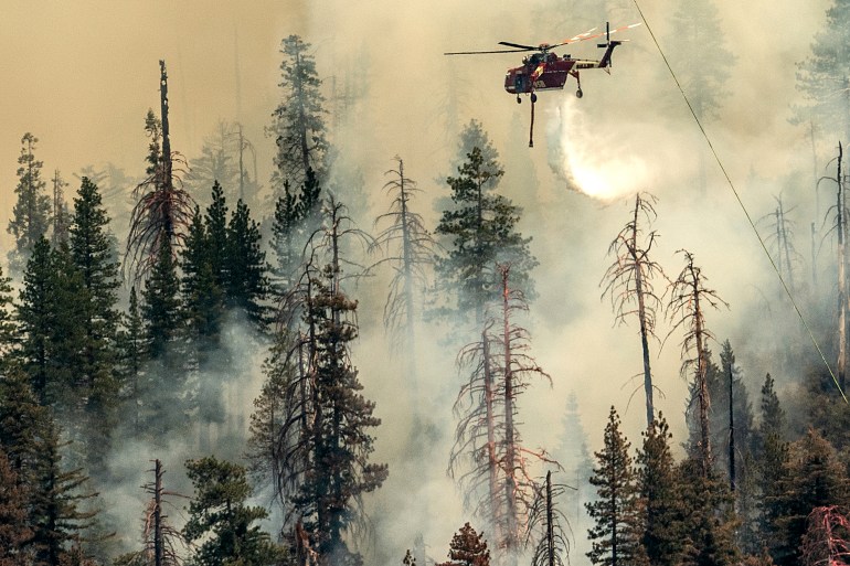 A helicopter drops water on the Washburn Fire burning in Yosemite National Park.