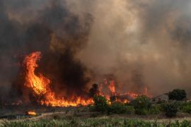 Flames advance during a wildfire in Ferreras de Abajo in north western Spain