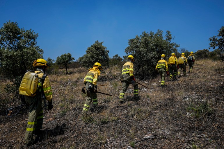 Firefighters work at the scene of a forest fire